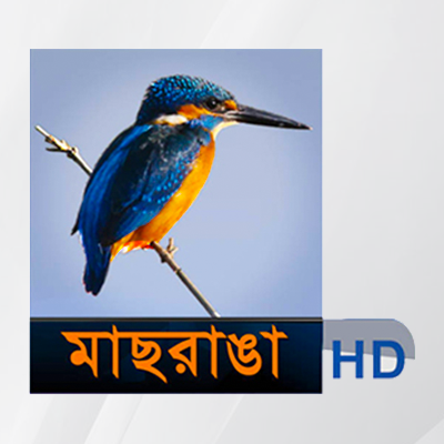 MAASRANGA HD